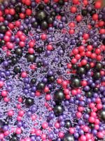 SPRINKLES PREMIUM 50GR - Imagen 20