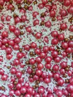 SPRINKLES PREMIUM 50GR - Imagen 14